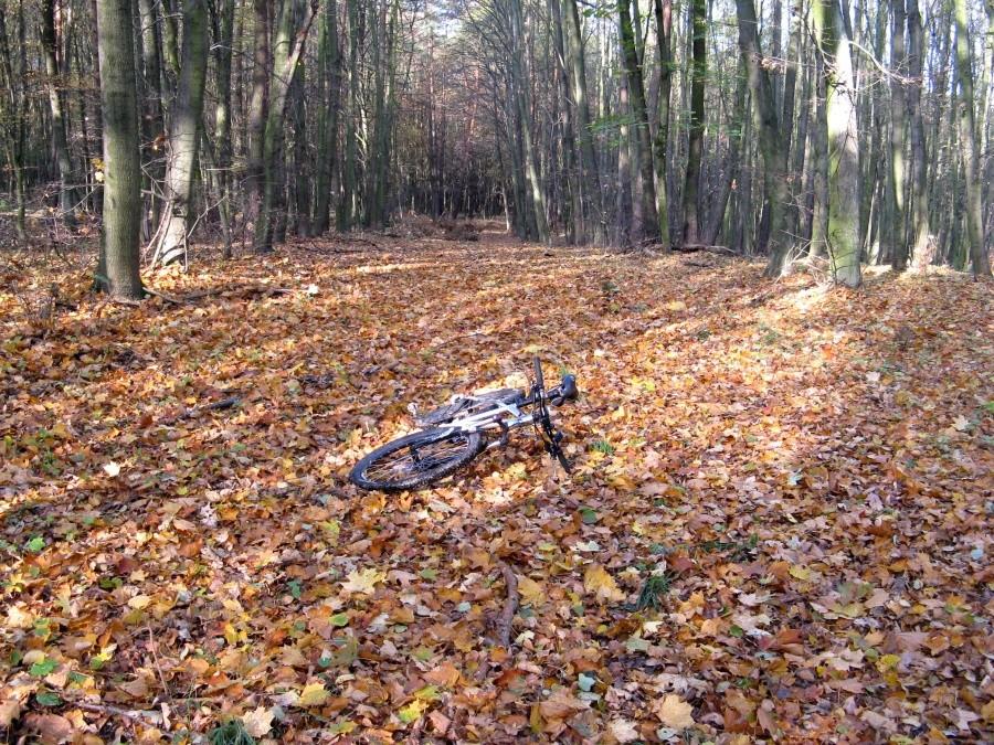 Okolice Starego Dymaczewa