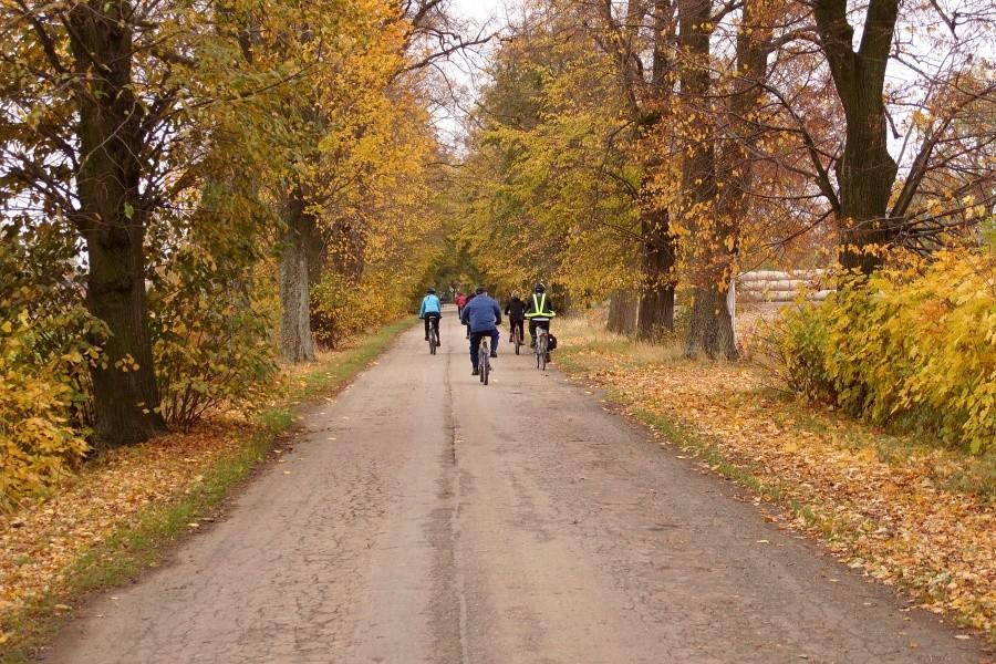 Kierunek Nowy Dwór Gdański