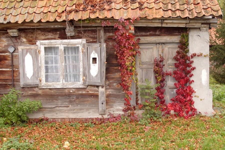 Klimatyczne domy żuławskie