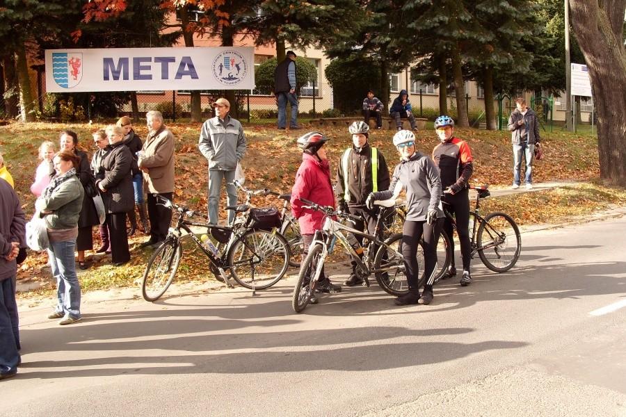 Nadwiślański Bieg Doliną Dolnej Wisły