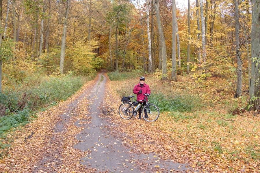 Niedzielna wycieczka –las w Śliwinach