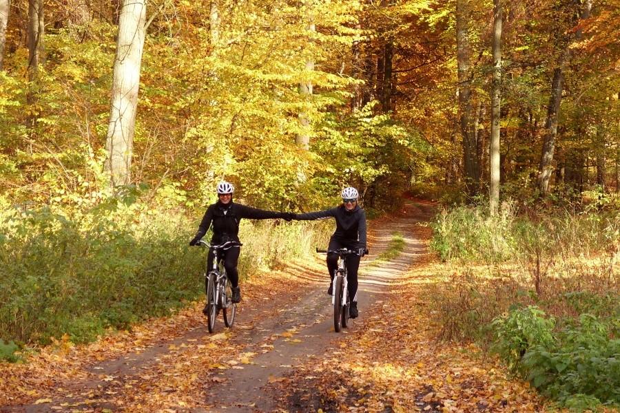 Niedzielna wycieczka –las w Śliwinach