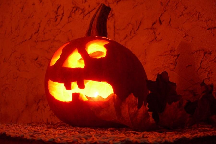 Moja dynia - hallowen