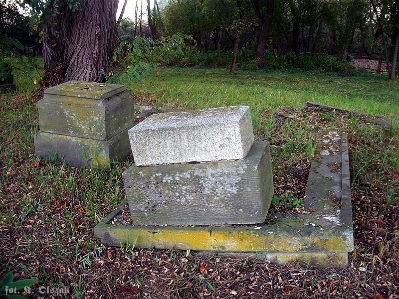 Kępa Okrzewska - cmentarz (1)