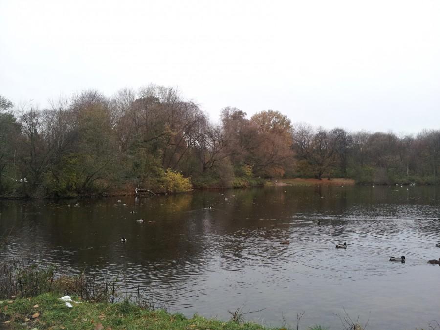 Park Skaryszewski