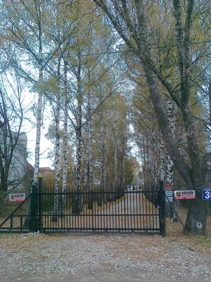 Waypoint #3029 Ludwinów - aleja brzozowa