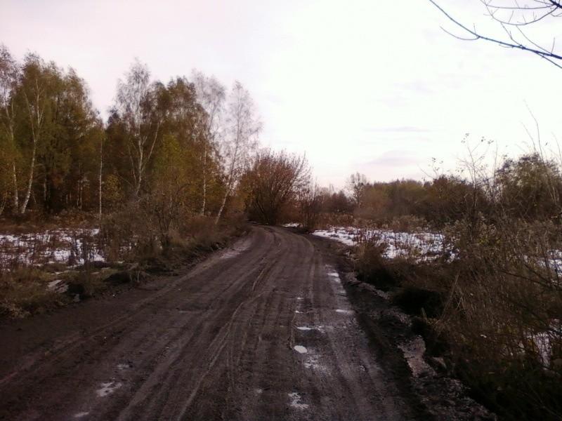 Koło torów kolejowych
