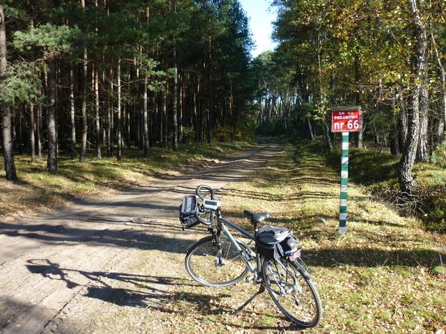 Postój w lesie na północ od Godzimierza