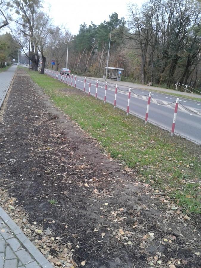 Zerwany w połowie trawnik przy Kaliskiego. A może tu będzie droga dla rowerów?
