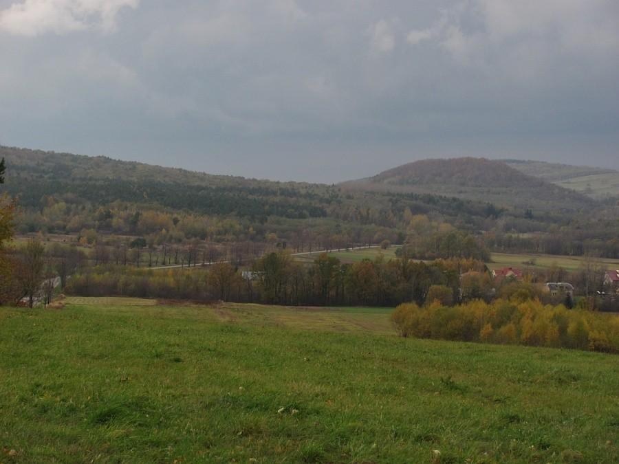 Ostryrz i droga prowadząca na krzyżówkę