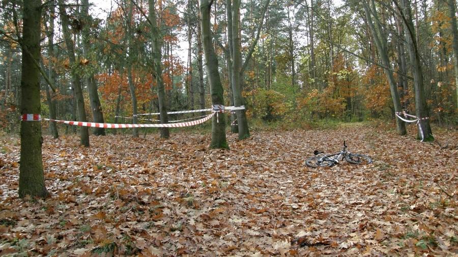 Doskonałe oznakowanie. Ładny dywan z liści :)