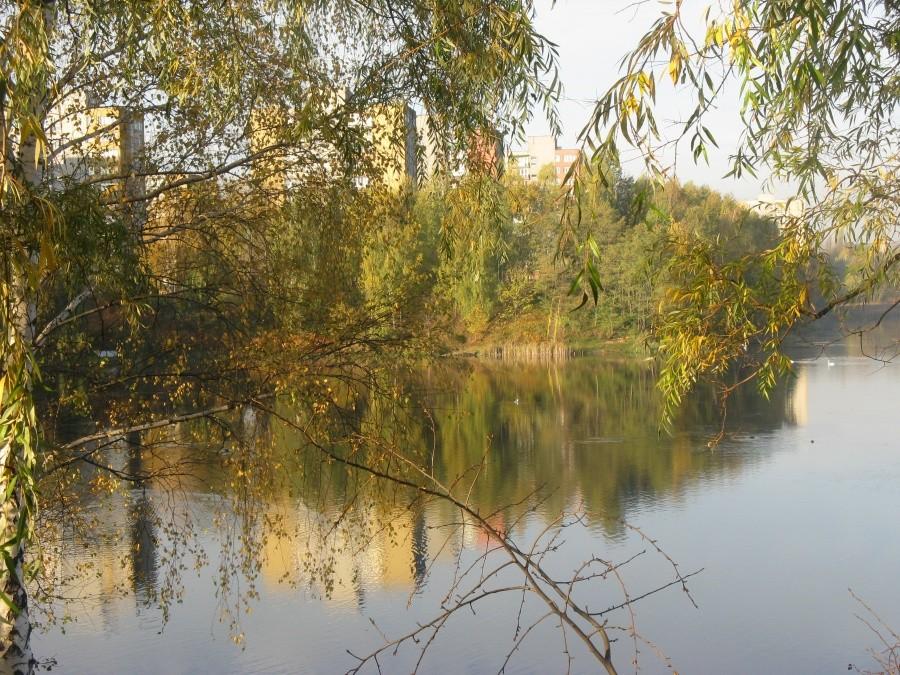 Stawiki