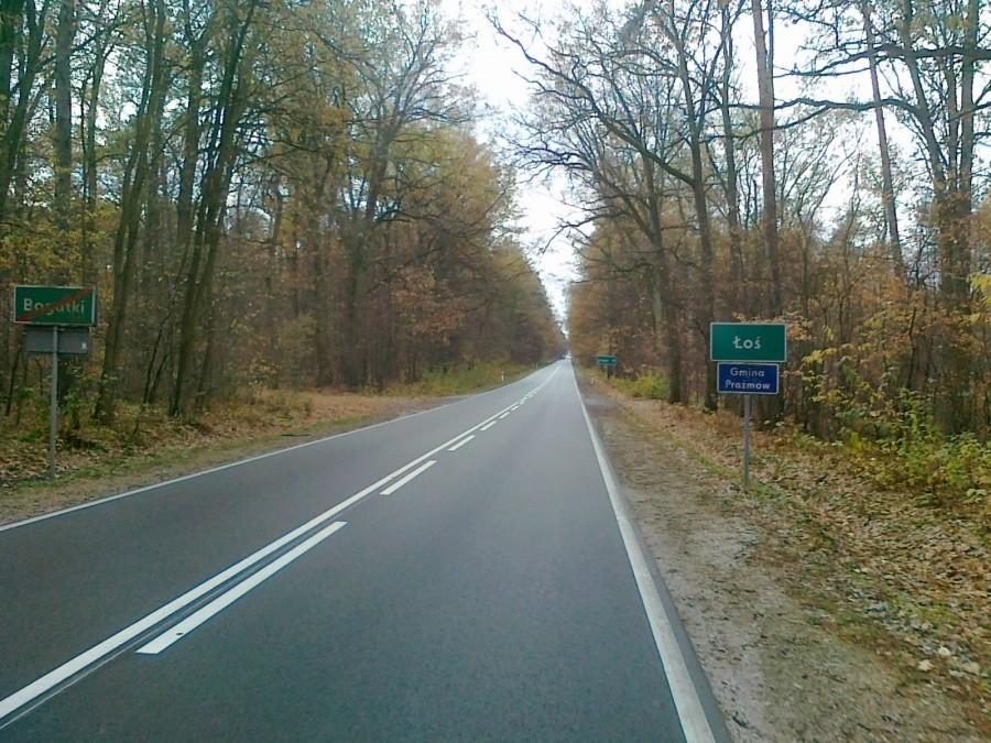 Łoś przy drodze;)