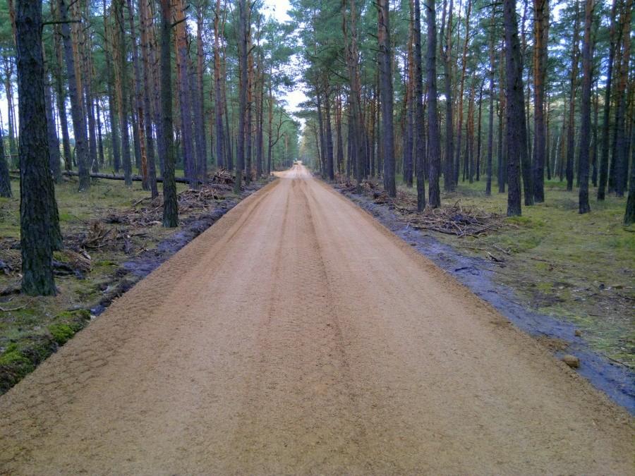 Odnowiona Dębowcówka.