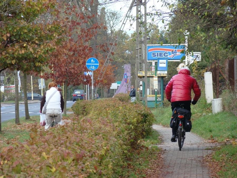 Wietrzenie stadniny , lis i zupa dyniowa w jednym. 3