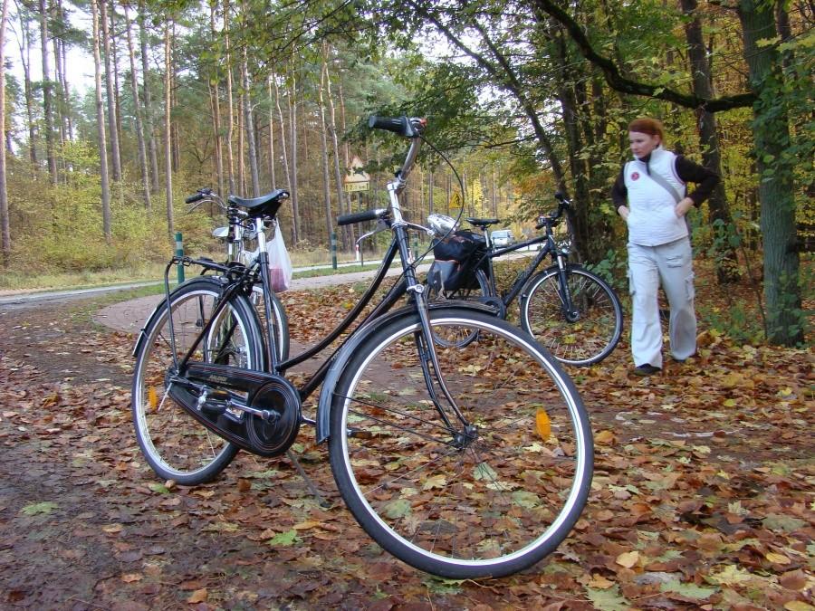 Wietrzenie stadniny , lis i zupa dyniowa w jednym. 12