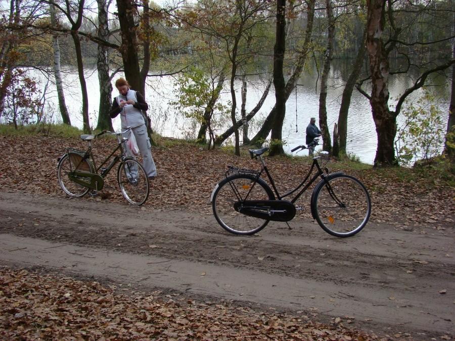 Wietrzenie stadniny , lis i zupa dyniowa w jednym. 14
