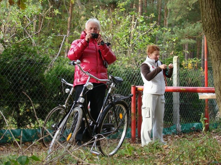 Wietrzenie stadniny , lis i zupa dyniowa w jednym. 19