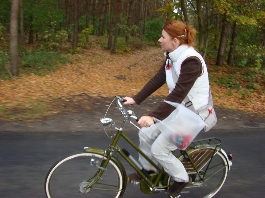 Wietrzenie stadniny , lis i zupa dyniowa w jednym. 22