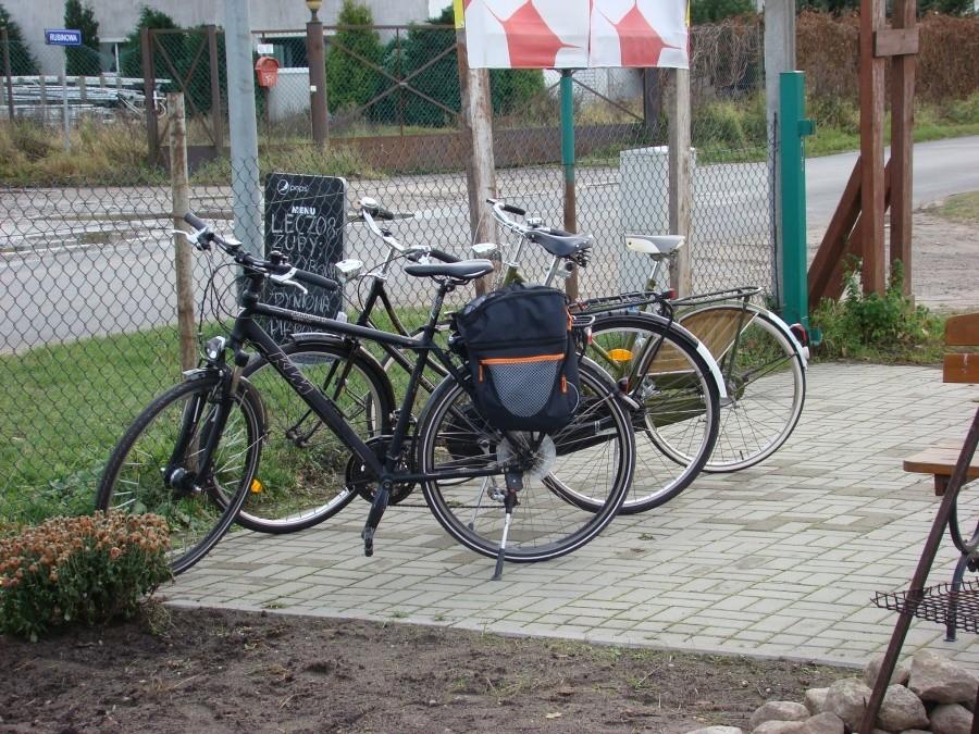 Wietrzenie stadniny , lis i zupa dyniowa w jednym. 36