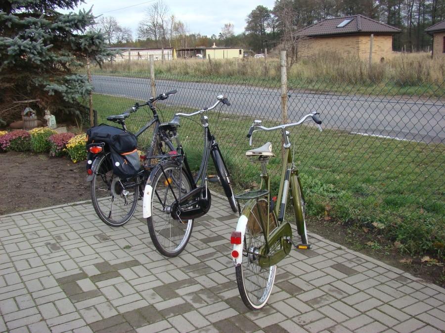 Wietrzenie stadniny , lis i zupa dyniowa w jednym. 38