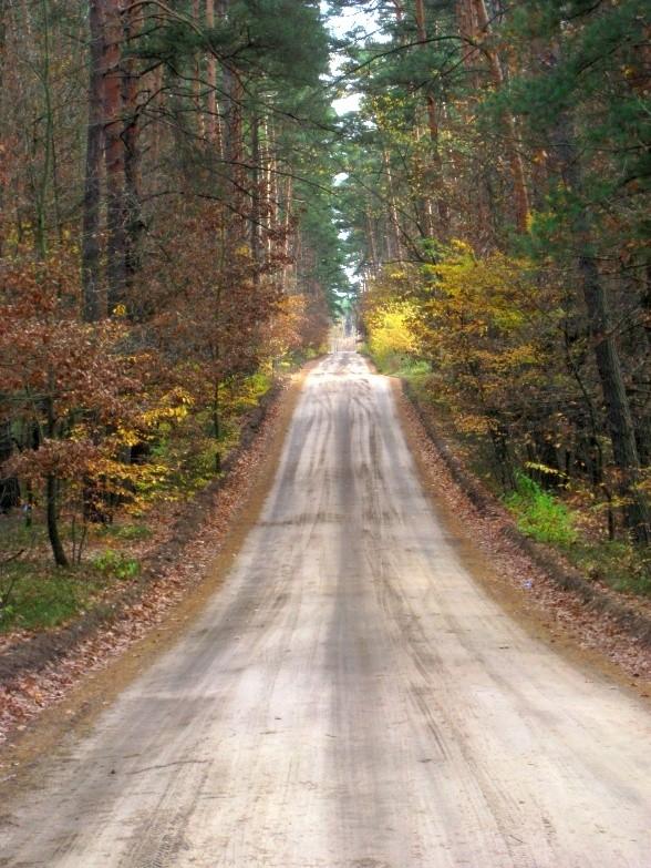 Droga leśna Zielonka - Tuczno