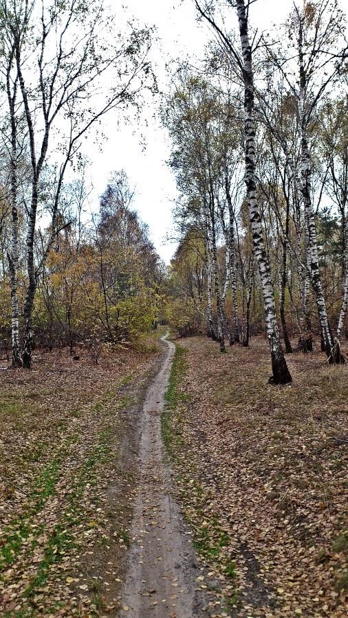 A tu już ścieżka na Mostostal