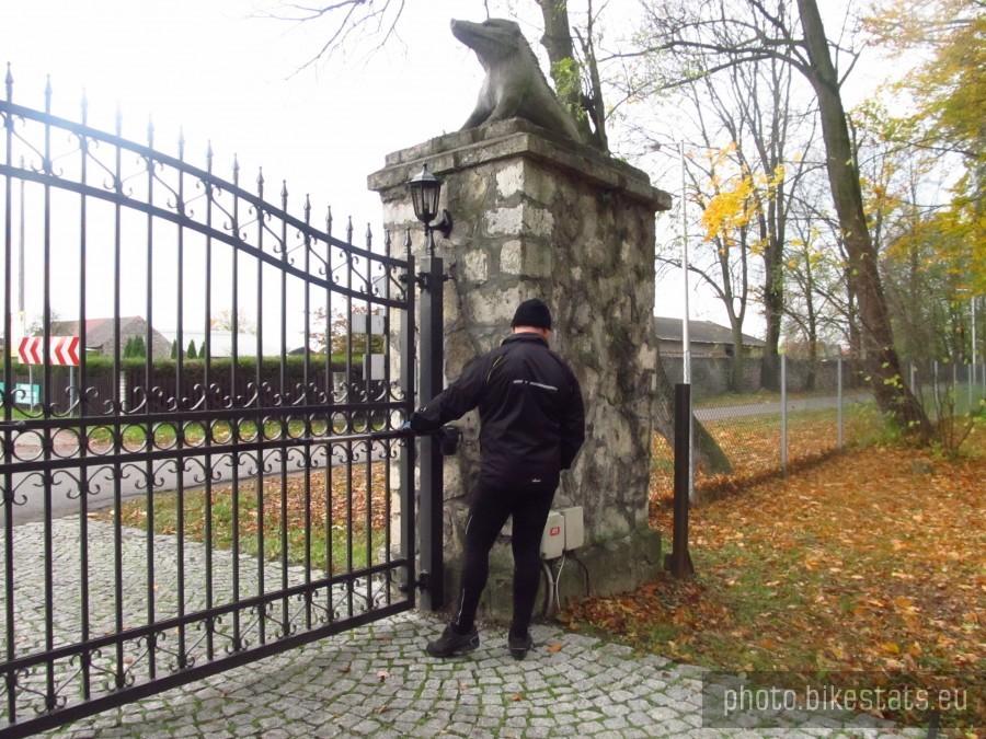 to ci niespodzianka, jak wyjść