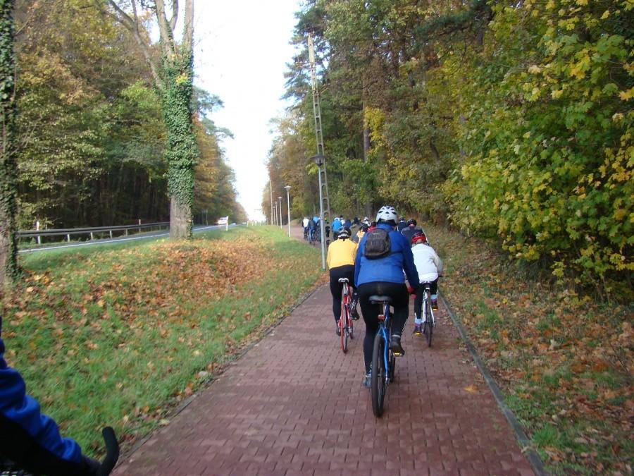 Pierwsza "Szczecińska pogoń za lisem." 16