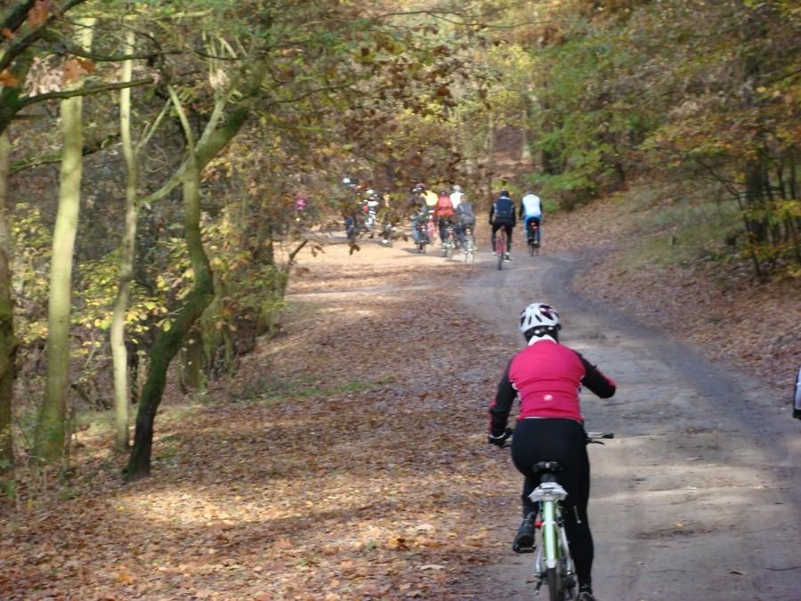 Pierwsza "Szczecińska pogoń za lisem." 22