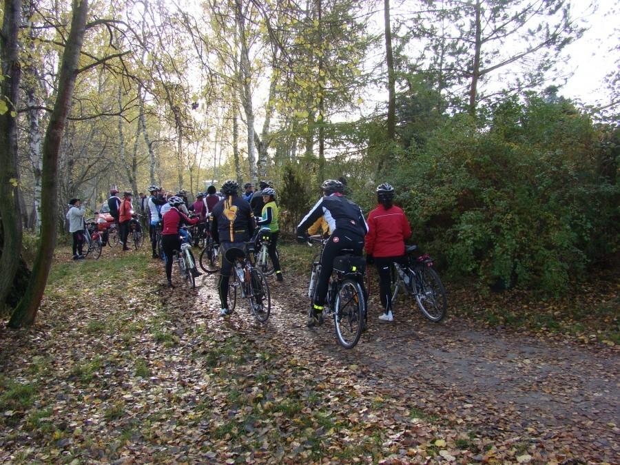 Pierwsza "Szczecińska pogoń za lisem." 26