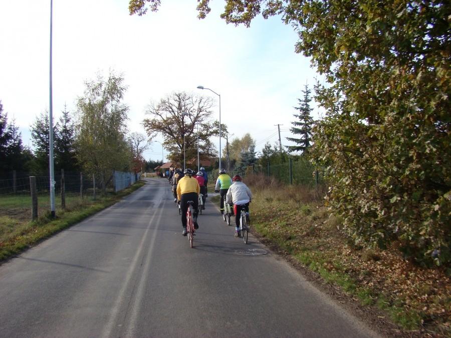 Pierwsza "Szczecińska pogoń za lisem." 31