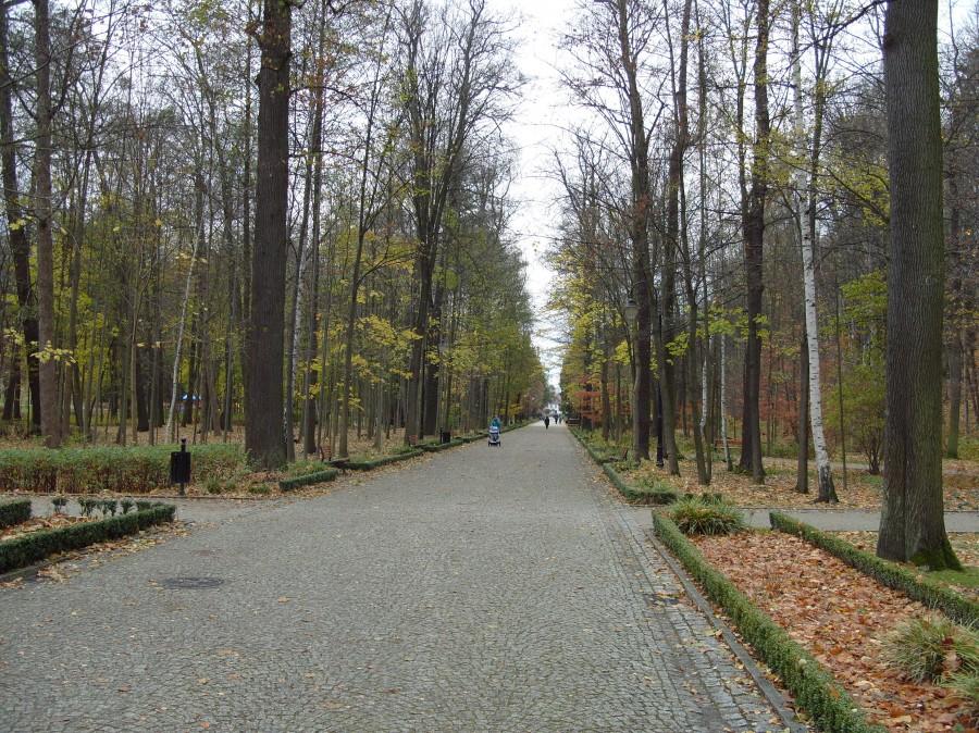 Deptak park Zdrojowy i też pustka.