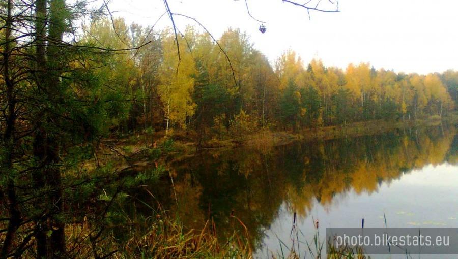 Jeziorko w lasku