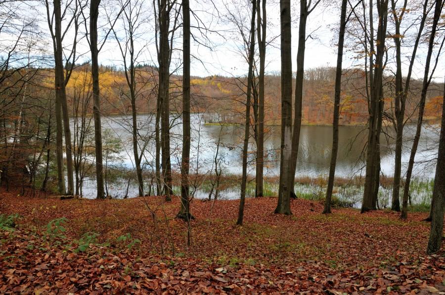 Jezioro Przywidzkie