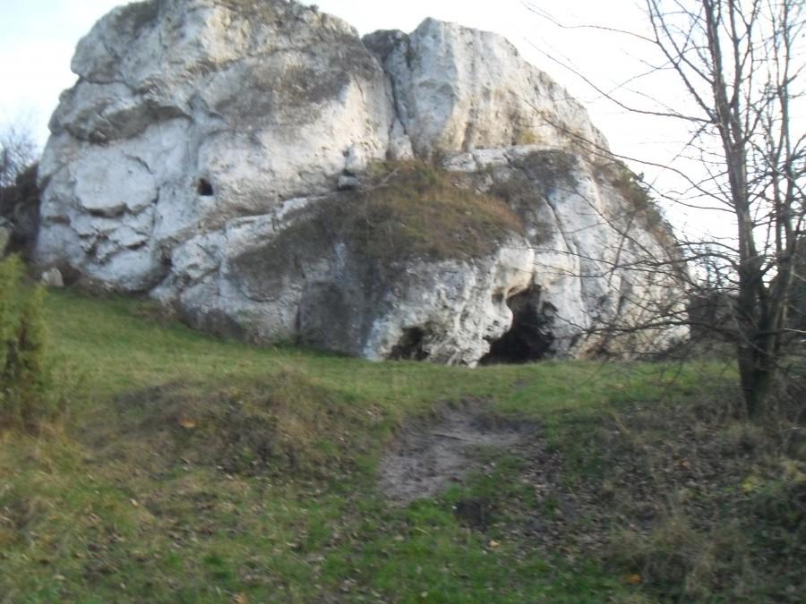do niedźwiedziej