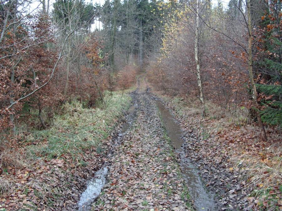 Ale po 500 m koniec miłego zaczyna się przeprawa ;).
