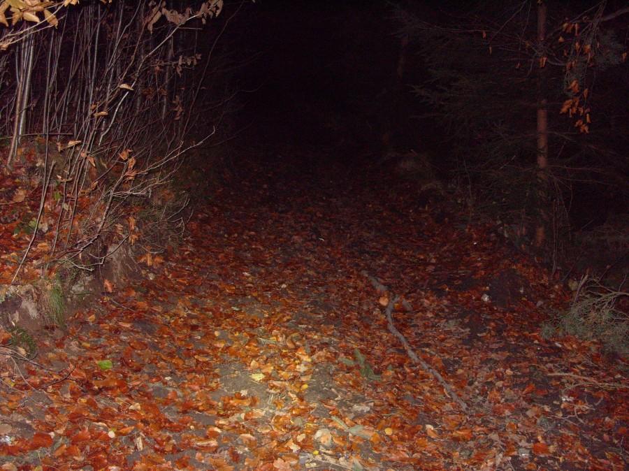Droga powrotna na pierwszych 300 m wyglądała całkiem obiecująco, nic bardziej mylnego.