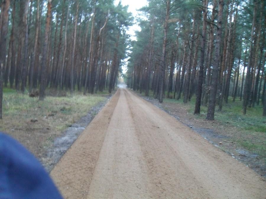 droga na dębowiec