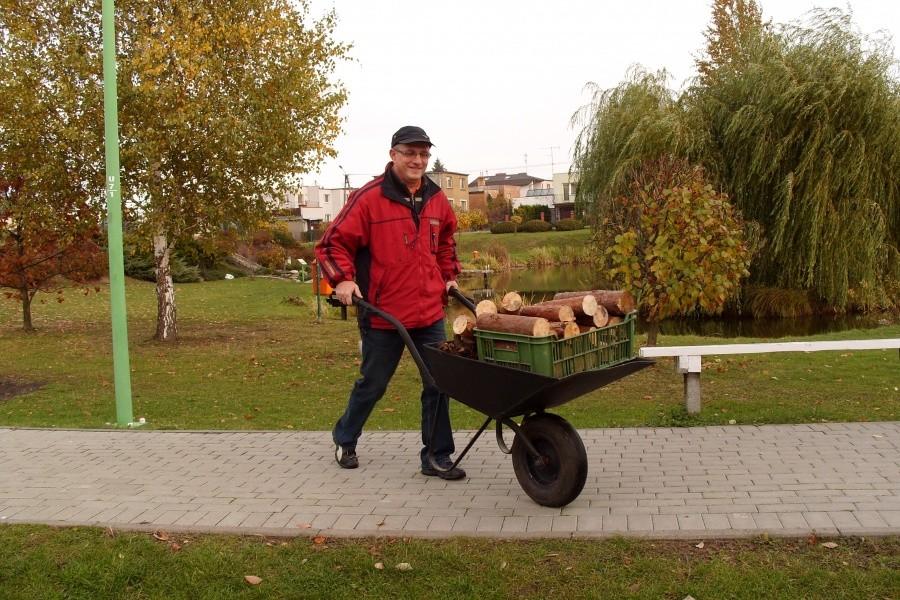 Marek w akcji- drewno….