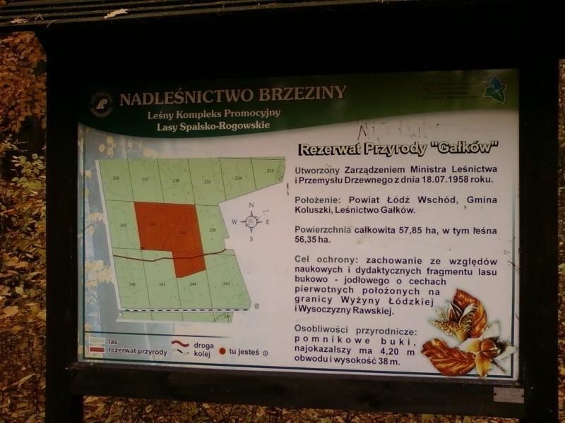 Rezerwat Gałków
