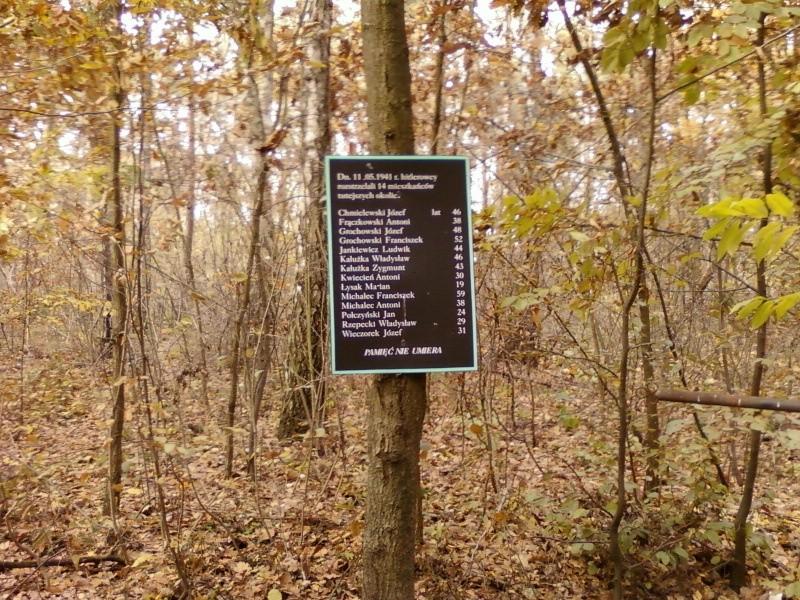 Masowy grób w okolicy Woli Rakowej