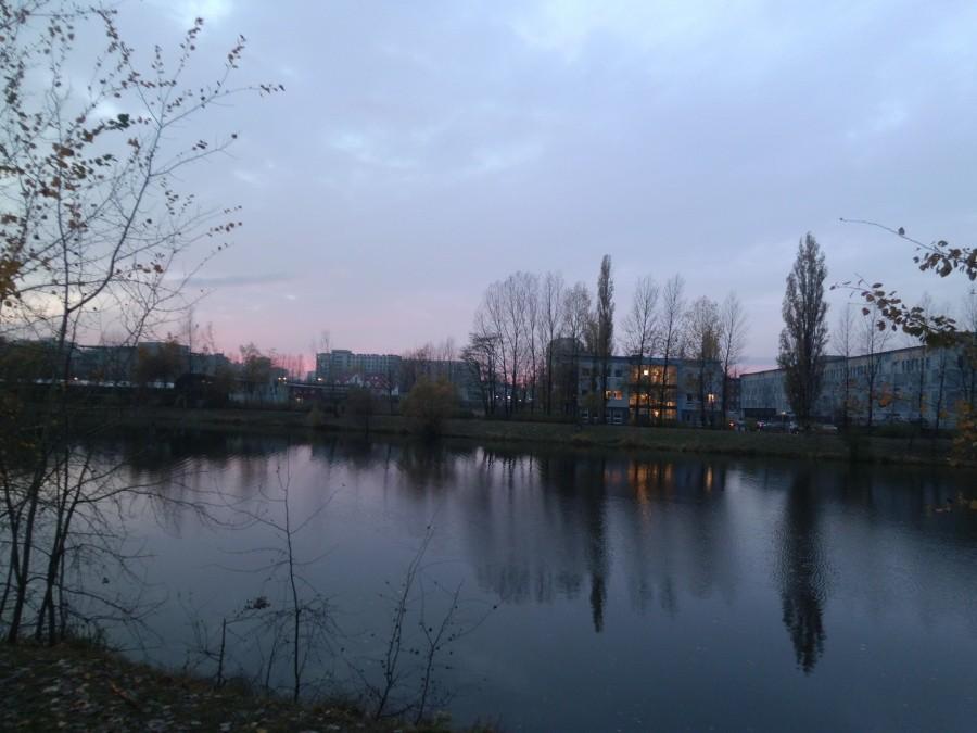 Staw przy Murckowskiej