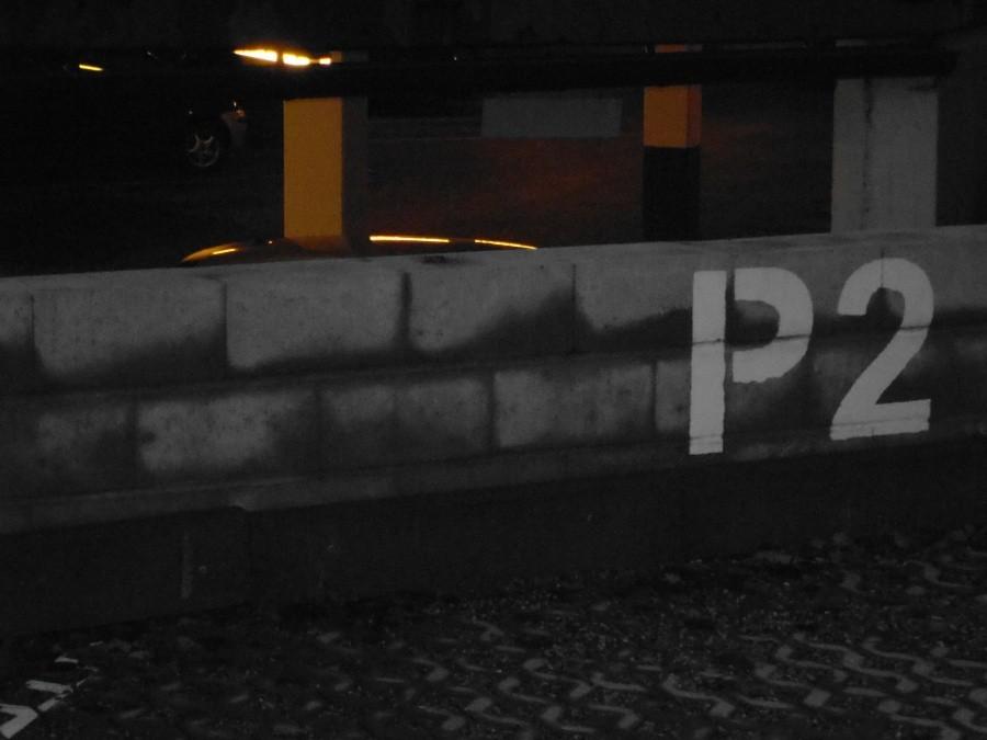 Pitu