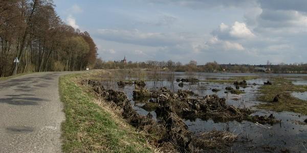 Bardzo wysoki stan wód rzeki Krzna w Starych Mokranach - w tle kościół w Malowej Górze