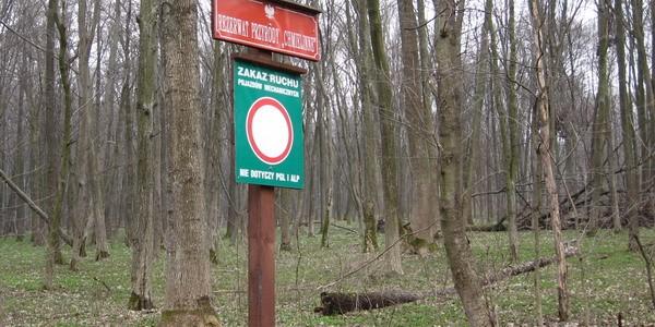 Rezerwat Przyrody "Chmielinne"