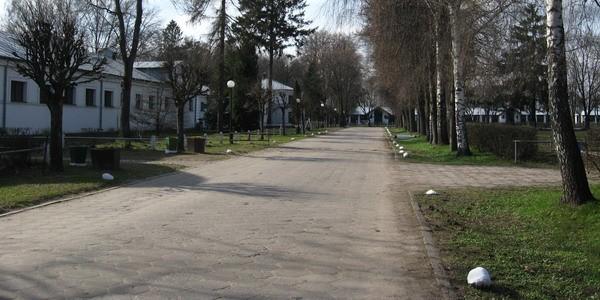 Stadnina Koni Janów Podlaski - droga wewnętrzna
