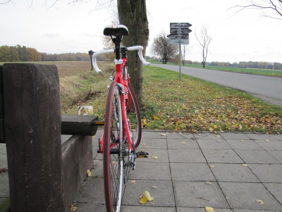Haibike od tyłu
