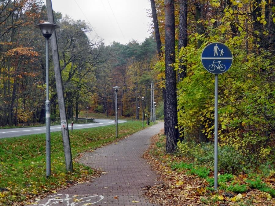 Ścieżka rowerowa tuż przed Pilchowem - 8 listopada 12 r.