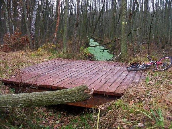 Mostek na żółtym szlaku